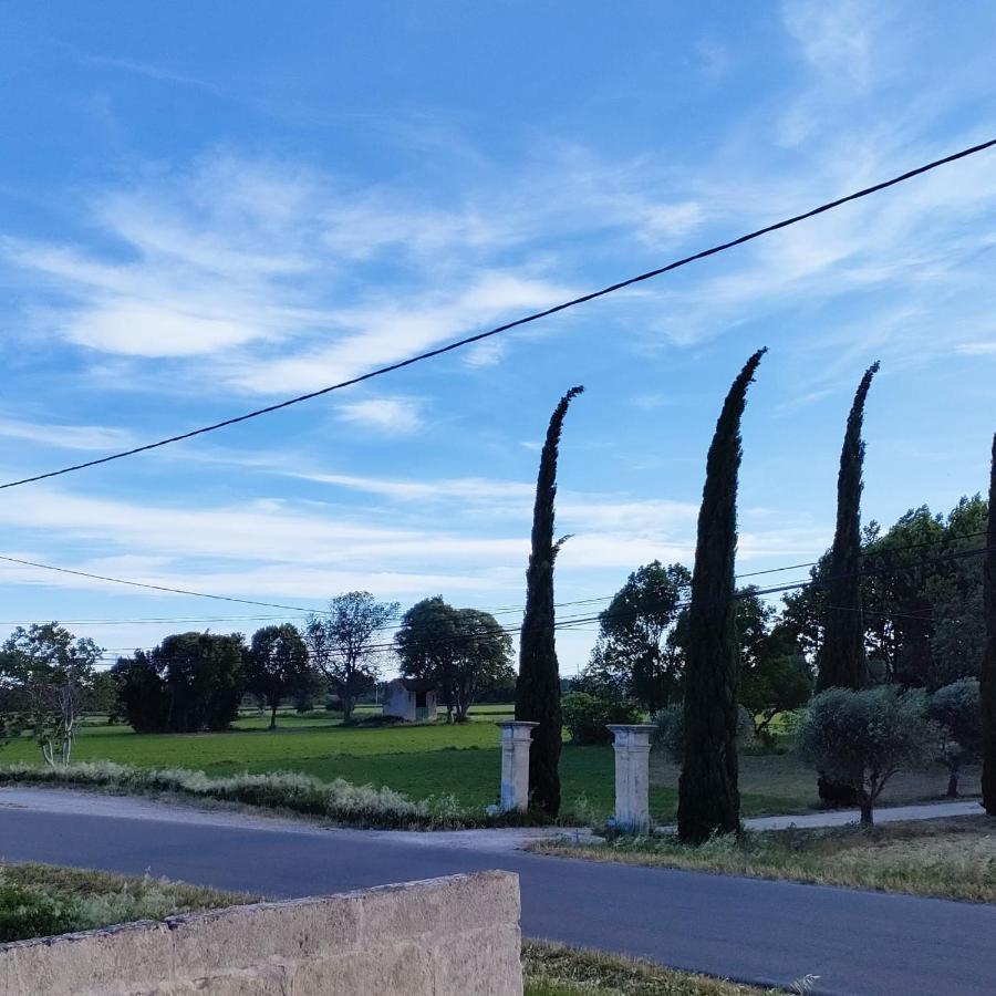Superbe appartement dans Mas Provencal Arles Bagian luar foto